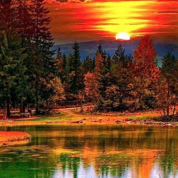 Meet your Posher, James - Picture 1 of 1